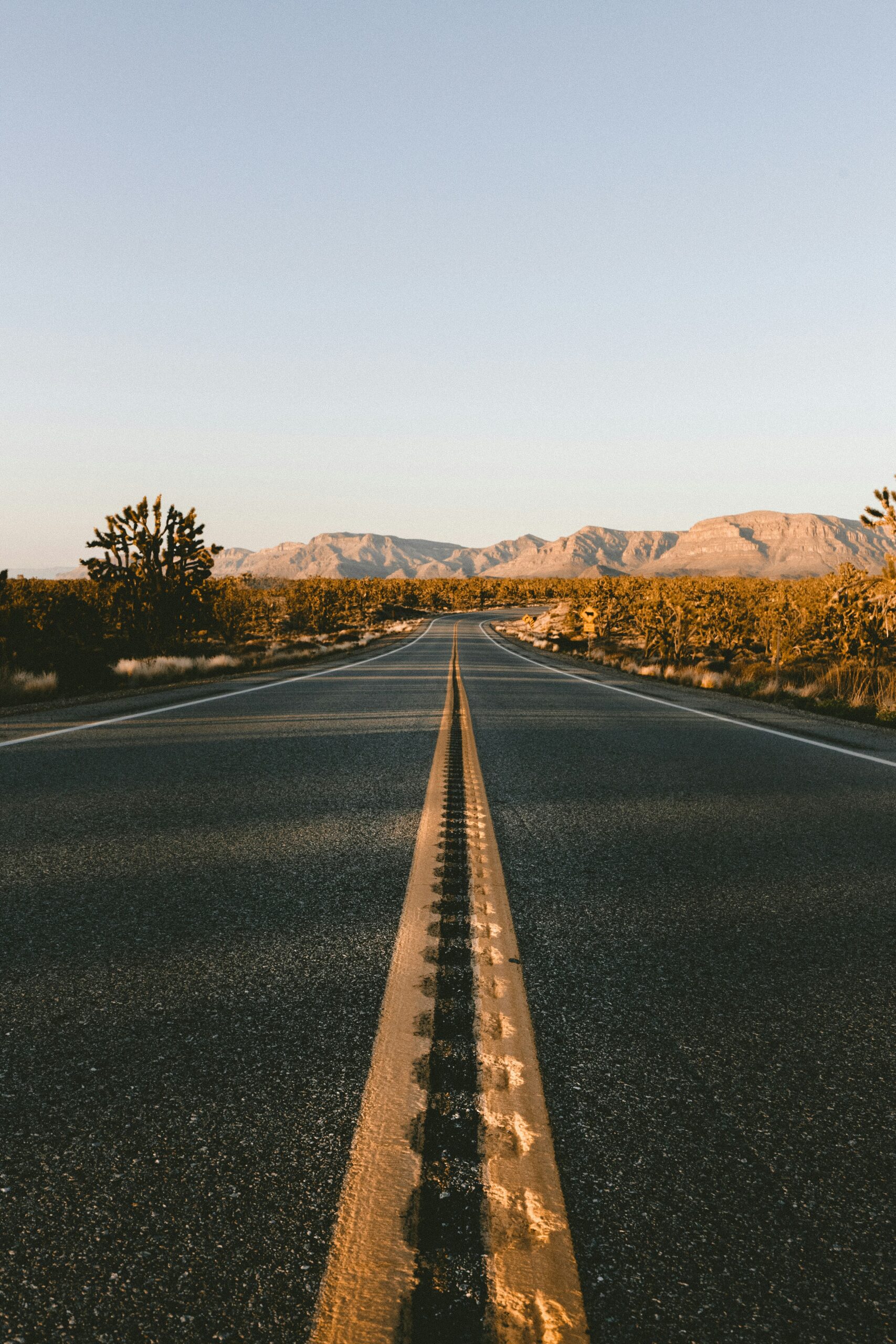 picture of a long asphalt road in the desert leading into the mountains